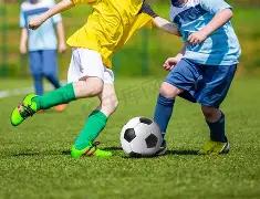 接入波场,开发效率提,升至翻倍,英超足球买球网,英超买球网官网,英超买球网站官网入口,英超足球压球买球站