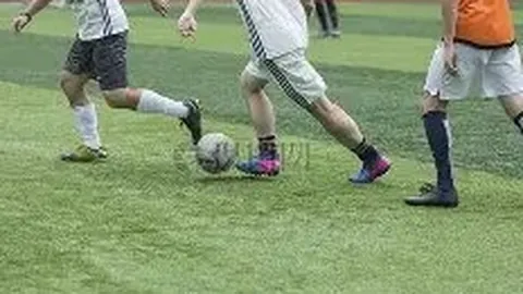 中国足协启动男足国家队主教练招聘程序