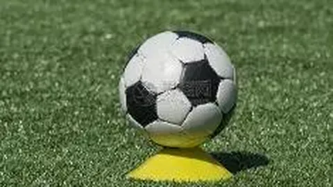 英超买球网站官网入口 产品 084947 wt4