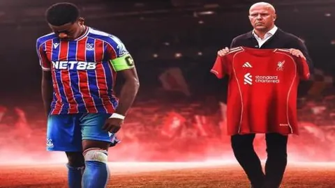 伊布膝伤恢复不顺，面临手术可能