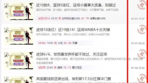 新赛季黑马球队崛起，休赛期全面升级，力压京沪争冠之路在望